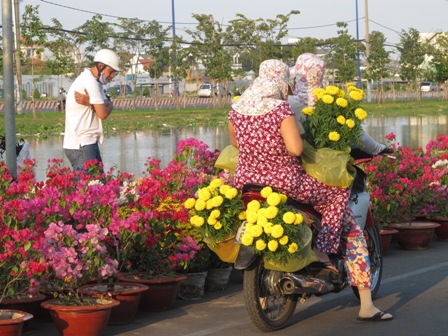 Nhộn nhịp sắm hoa, cây cảnh chiều 30 Tết ảnh 8